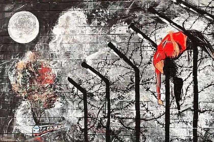 কাঁটাতারে ঝুলন্ত ফেলানী এবং ন্যায়বিচার